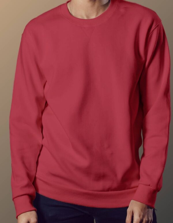 Red Sweatshirt - Red